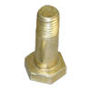 NAS 6607-21 Bolt